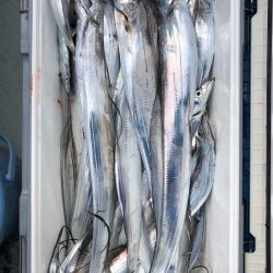 フィッシング キッタカ 釣果