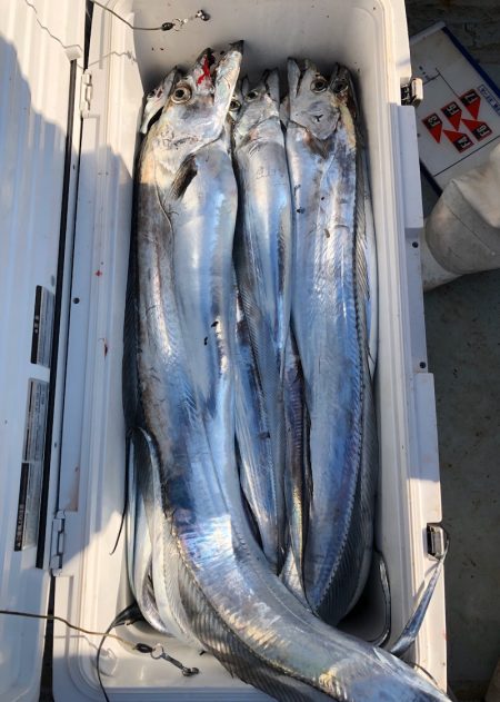 フィッシング キッタカ 釣果