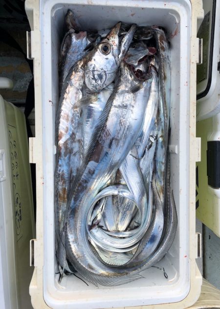 フィッシング キッタカ 釣果