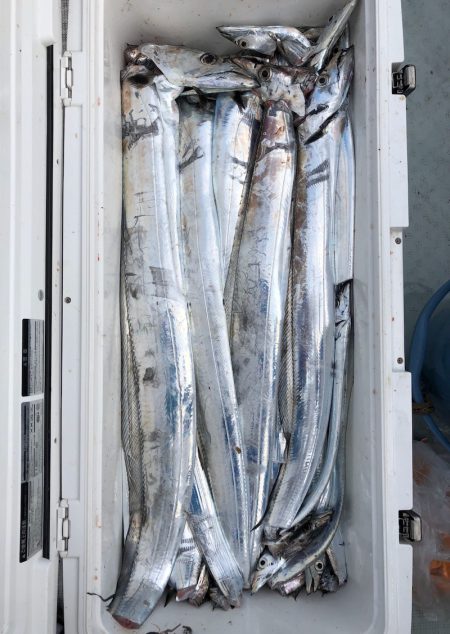 フィッシング キッタカ 釣果