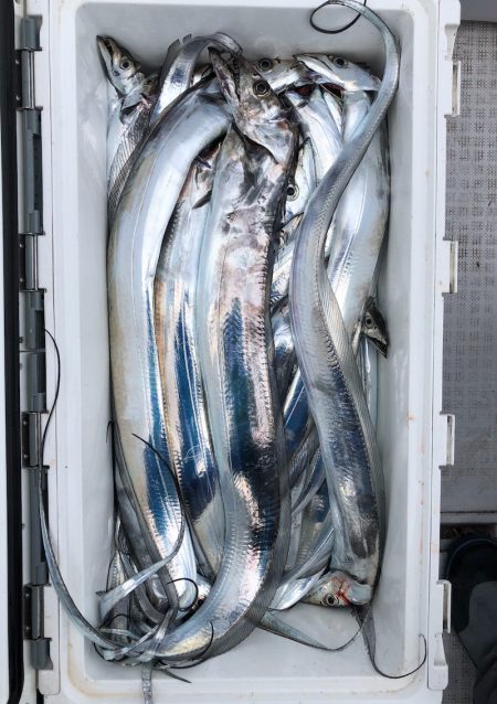 フィッシング キッタカ 釣果