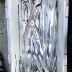 フィッシング キッタカ 釣果