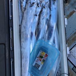 フィッシング キッタカ 釣果