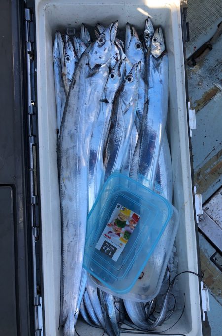 フィッシング キッタカ 釣果