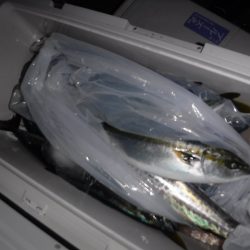 BlueNote Fishing Taxi 釣果