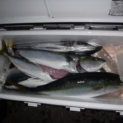 BlueNote Fishing Taxi 釣果