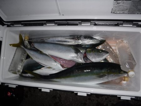 BlueNote Fishing Taxi 釣果