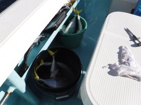 BlueNote Fishing Taxi 釣果