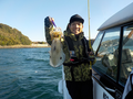 釣船 キティ 釣果