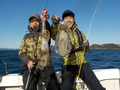 釣船 キティ 釣果