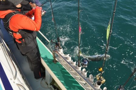 八海丸 釣果