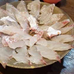 遊漁船 ニライカナイ 釣果