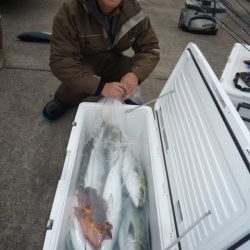 浅間丸 釣果
