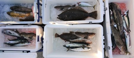 気仙沼　つり丸 釣果