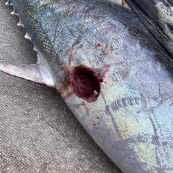 へいみつ丸 釣果