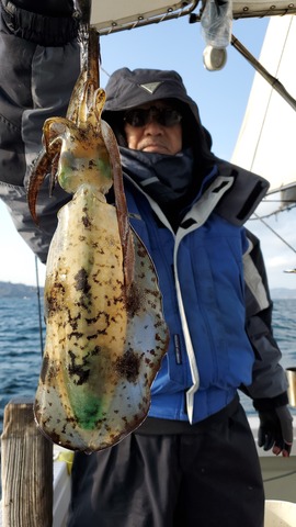 遊漁船　ニライカナイ 釣果