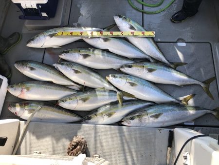 sea boss　シーボス 釣果