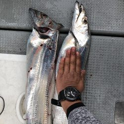 sea boss シーボス 釣果