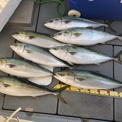 sea boss　シーボス 釣果