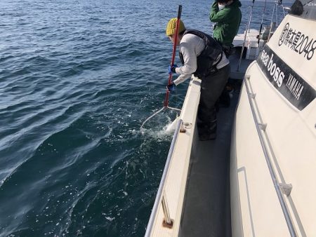 sea boss シーボス 釣果