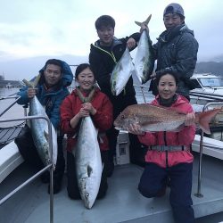 sea boss シーボス 釣果