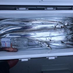 sea boss シーボス 釣果