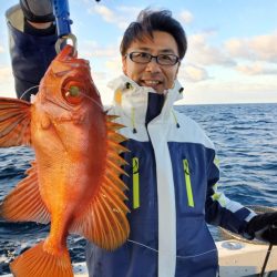 ブルーピア 釣果