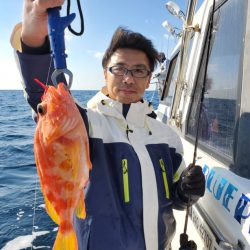 ブルーピア 釣果