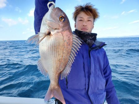 ブルーピア 釣果