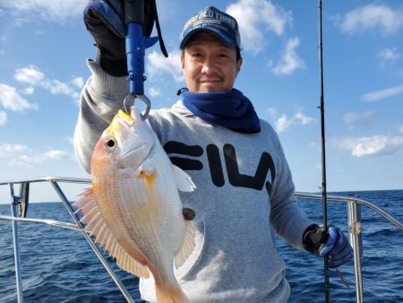 ブルーピア 釣果