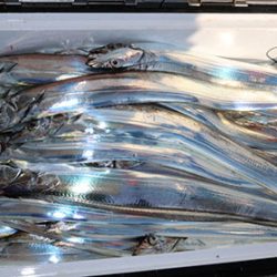 松本釣船２ 釣果