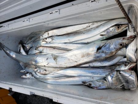 オーフリー 釣果