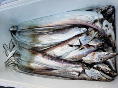 オーフリー 釣果