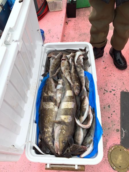 第八平成丸 釣果