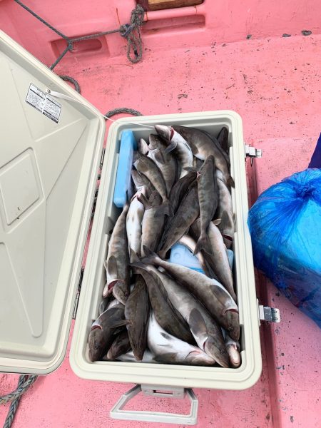 第八平成丸 釣果