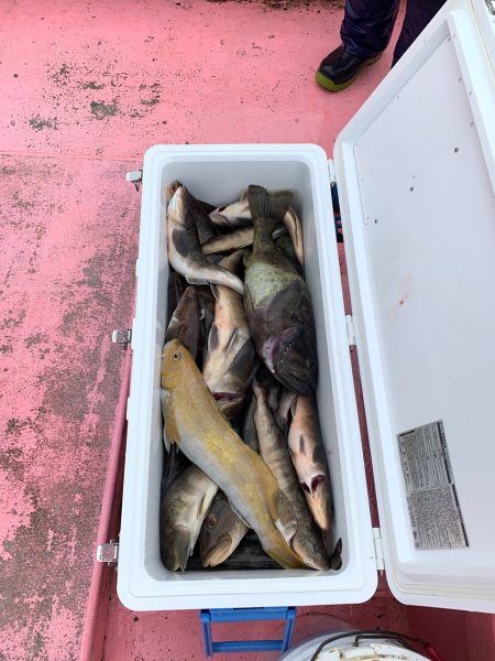 第八平成丸 釣果