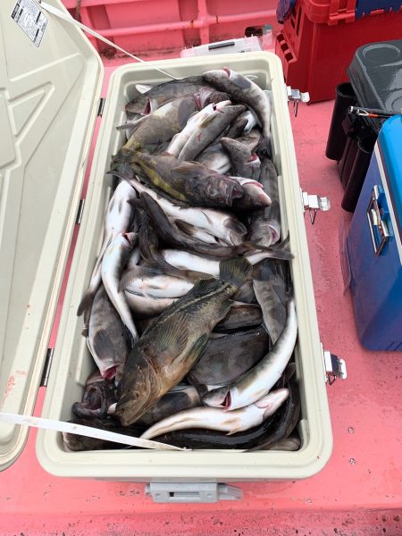 第八平成丸 釣果