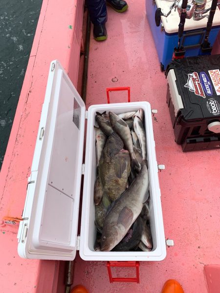 第八平成丸 釣果