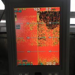 第八平成丸 釣果