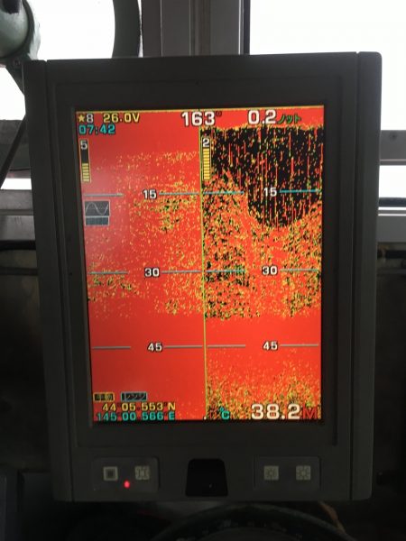 第八平成丸 釣果