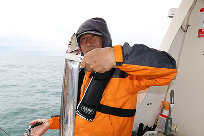 松本釣船２ 釣果