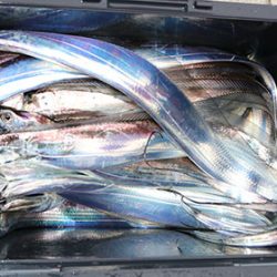 松本釣船２ 釣果