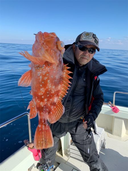 マタウマリンサービス 釣果