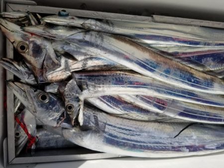 オーフリー 釣果