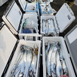 オーフリー 釣果