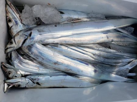 オーフリー 釣果