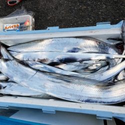 オーフリー 釣果