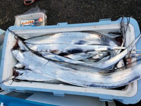 オーフリー 釣果