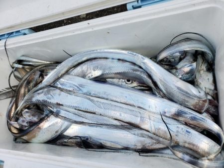 オーフリー 釣果