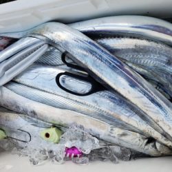 オーフリー 釣果